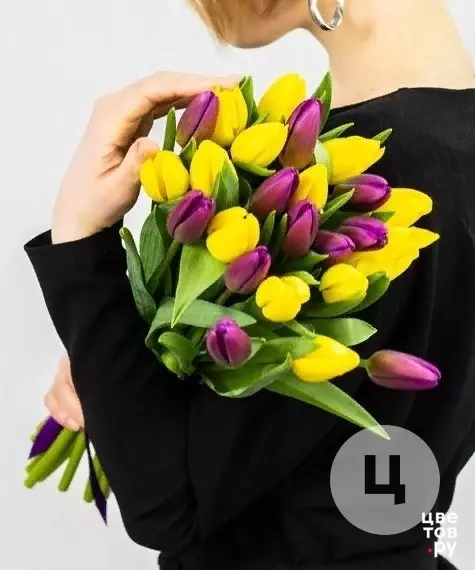 25 желто-фиолетовых тюльпанов